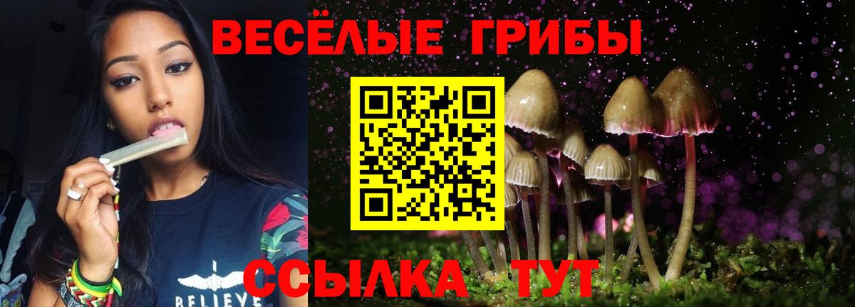 Псилоцибиновые грибы GOLDEN TEACHER  Вход с VPN  Камень-на-Оби 